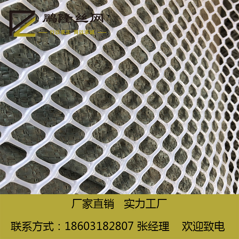 塑料平網(wǎng)圖片/塑料平網(wǎng)樣板圖 (1)