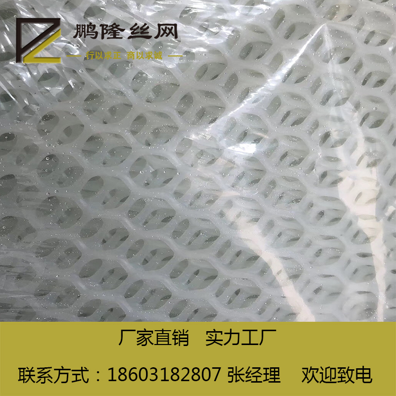 塑料平網(wǎng) 塑料萬能網(wǎng)圖片