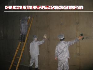 珠海市金灣區(qū)紅旗鎮(zhèn)圖片/珠海市金灣區(qū)紅旗鎮(zhèn)樣板圖 (4)