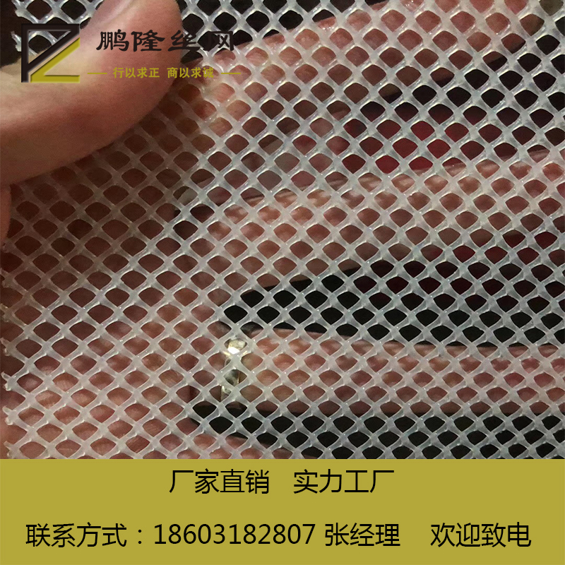 塑料平網(wǎng)圖片/塑料平網(wǎng)樣板圖 (3)