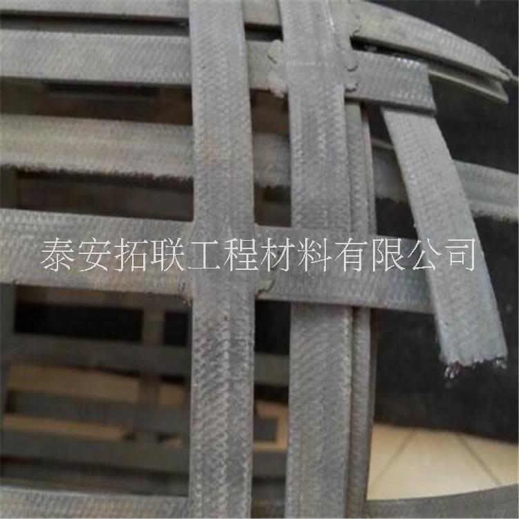 鋼塑土工格柵圖片/鋼塑土工格柵樣板圖 (4)