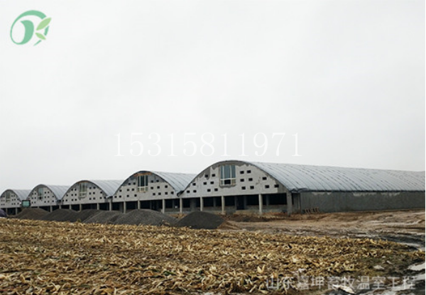 畜牧養(yǎng)殖大棚圖片/畜牧養(yǎng)殖大棚樣板圖 (3)