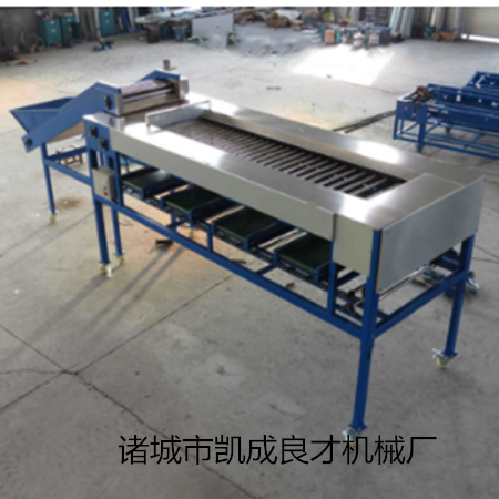 選果機(jī)圖片/選果機(jī)樣板圖 (3)