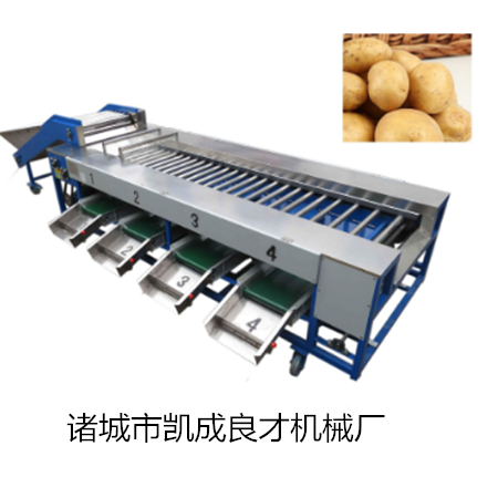 選果機(jī)圖片/選果機(jī)樣板圖 (4)