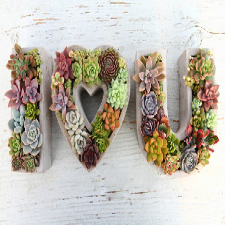 陳設(shè)飾品圖片/陳設(shè)飾品樣板圖 (2)