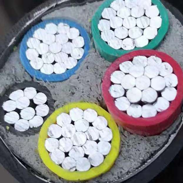 低壓鋁芯電纜圖片/低壓鋁芯電纜樣板圖 (4)