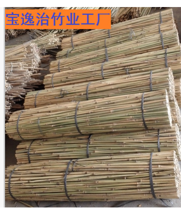 厘竹批發(fā)圖片