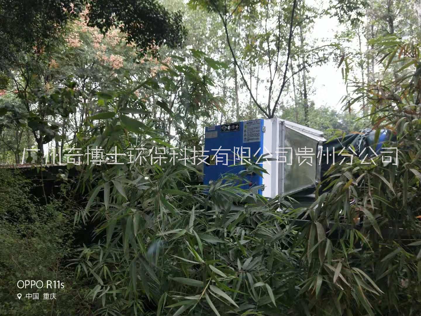 贵阳市烧烤净化车厂家