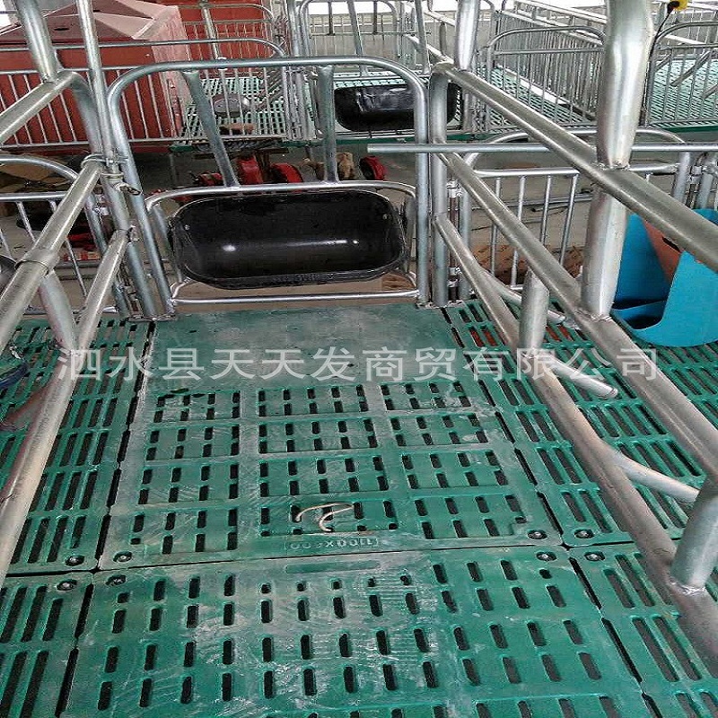 母豬產(chǎn)床圖片/母豬產(chǎn)床樣板圖 (1)