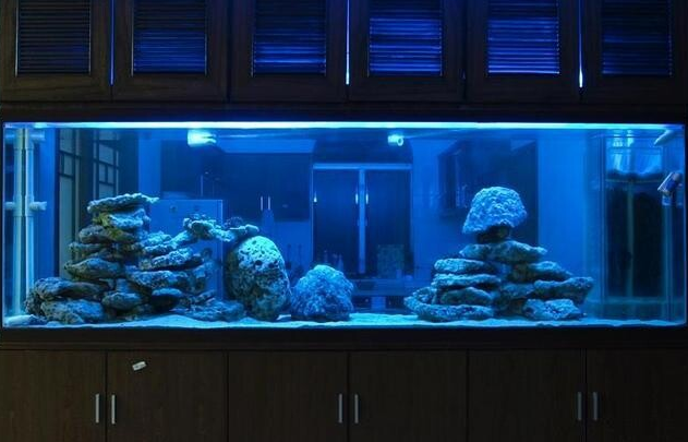 廣州魚缸設(shè)計(jì)、越秀區(qū)魚缸定制、大新上門訂做魚缸