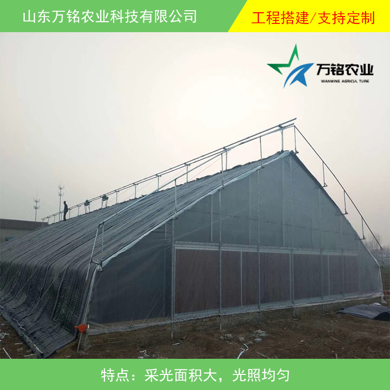 日光溫室圖片/日光溫室樣板圖 (2)