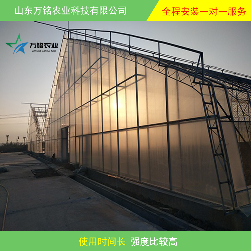 日光溫室圖片/日光溫室樣板圖 (3)