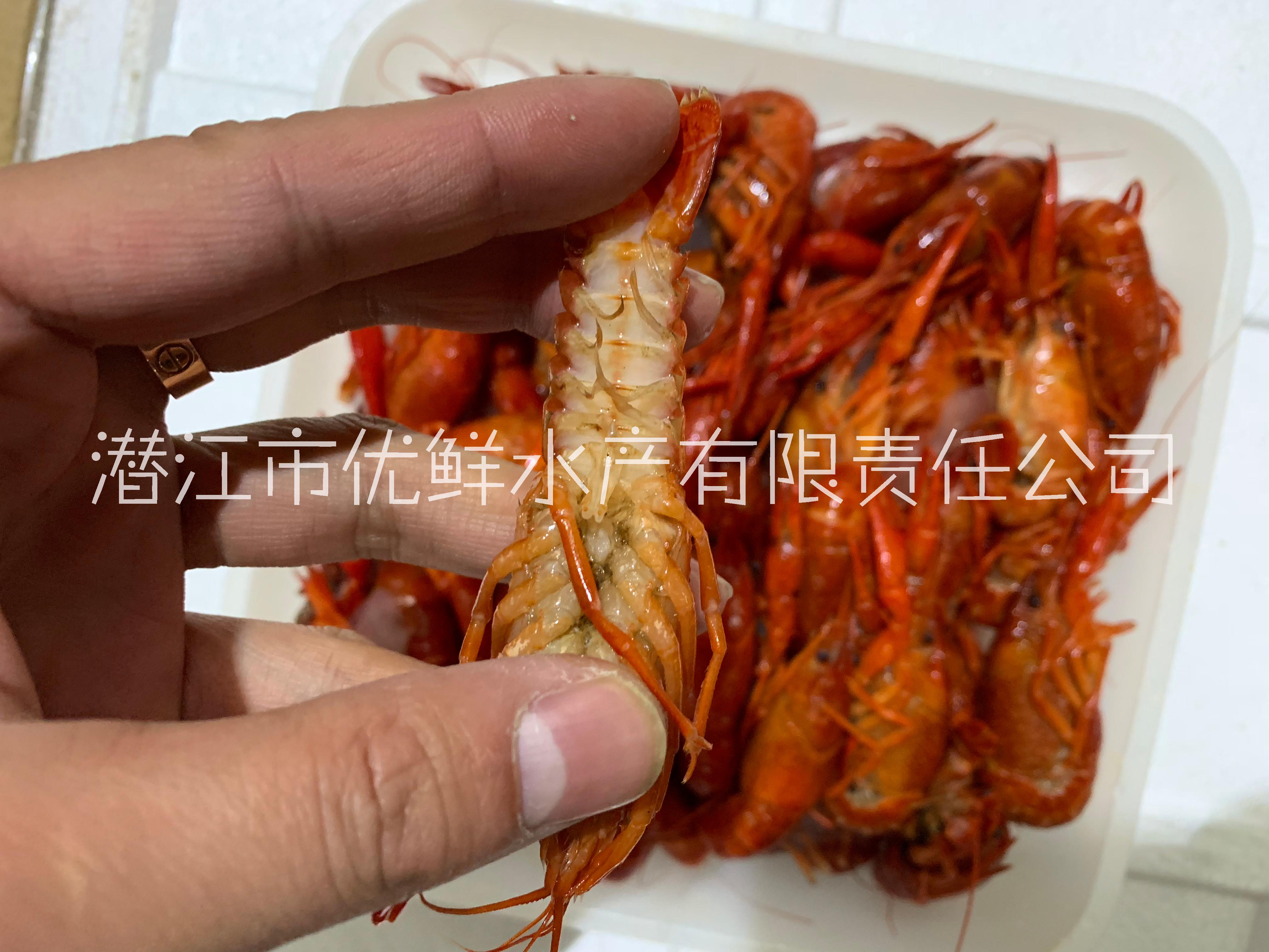 安徽合肥圖片/安徽合肥樣板圖 (3)