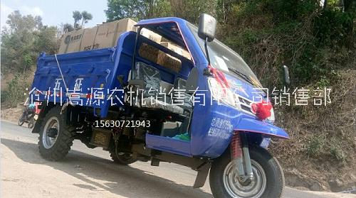 五征翔運虎三輪車圖片/五征翔運虎三輪車樣板圖 (2)