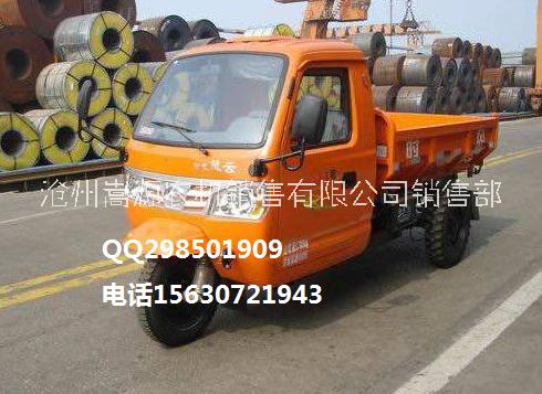 時風風云3號三輪車圖片/時風風云3號三輪車樣板圖 (2)