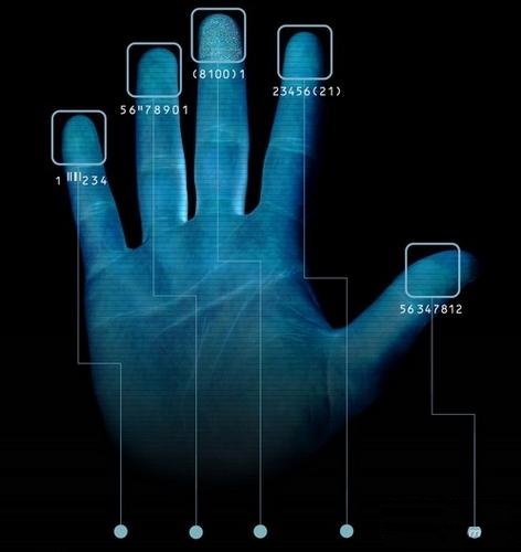 多元智能（皮紋）測評的發(fā)展歷程