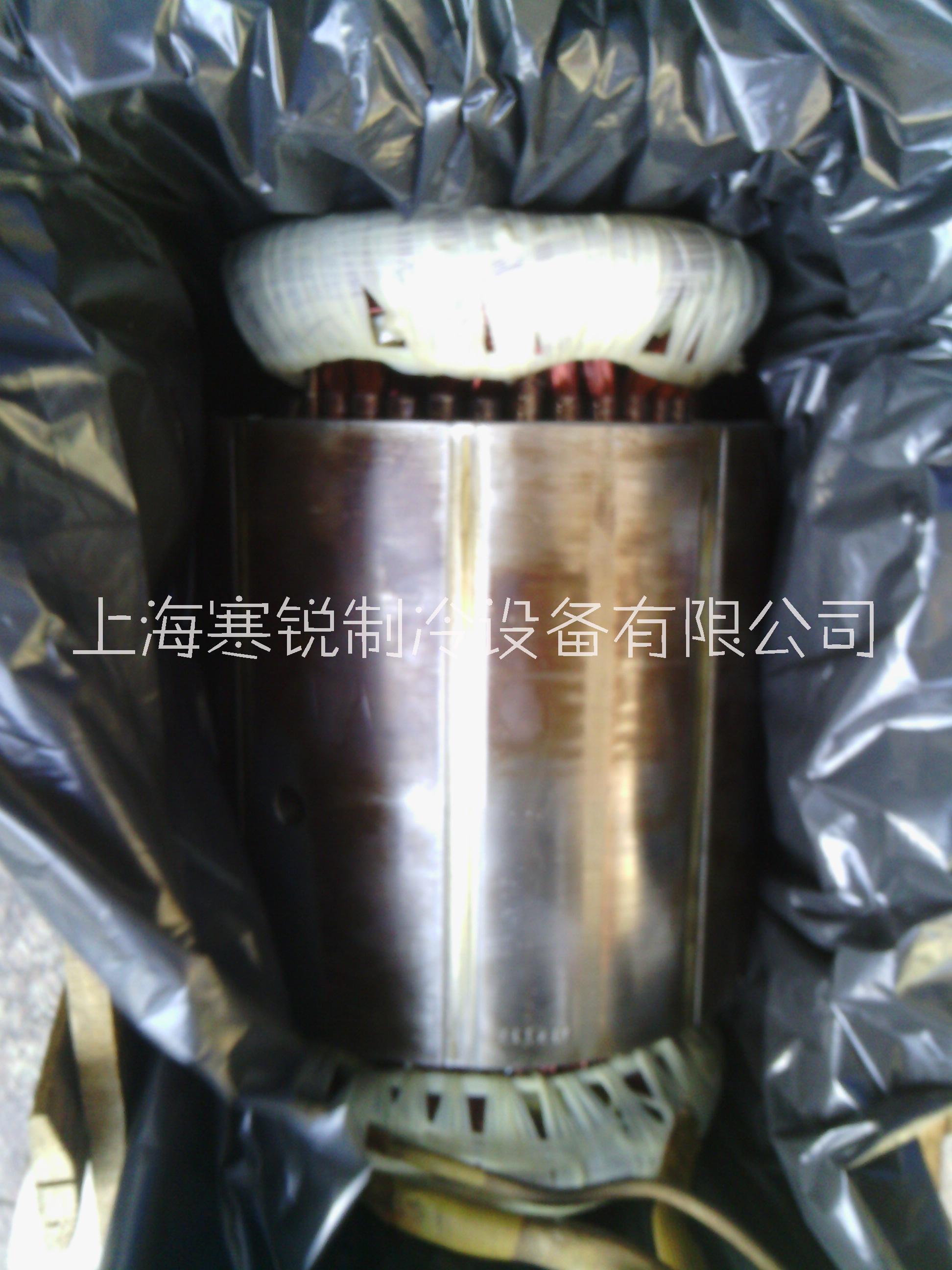 開(kāi)利電機(jī)維修圖片/開(kāi)利電機(jī)維修樣板圖 (3)