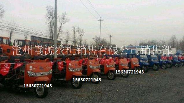 福田五星ATX1500農(nóng)用三輪車圖片/福田五星ATX1500農(nóng)用三輪車樣板圖 (3)