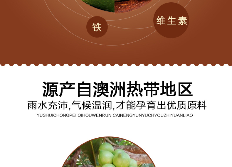 四川澳洲堅(jiān)果種植基地_四川澳洲堅(jiān)果批發(fā)價(jià)格_【廣西澳一澳農(nóng)業(yè)科技有限公司】