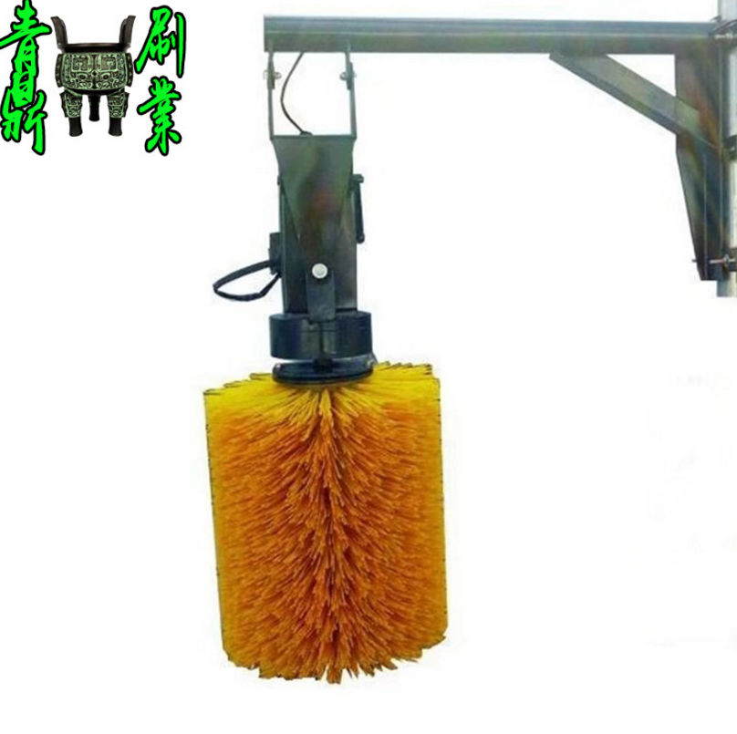 工業(yè)毛刷輥圖片