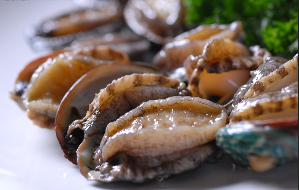 新鮮鮑魚圖片/新鮮鮑魚樣板圖 (1)