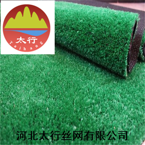 草坪網(wǎng) 滑草草坪網(wǎng) 戶外婚禮草坪圖片