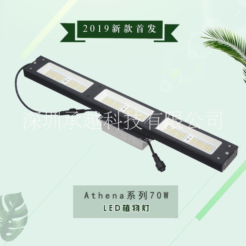 led植物燈定制圖片