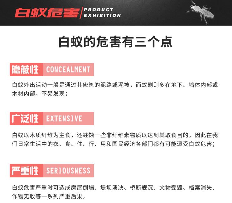 白蟻防治圖片/白蟻防治樣板圖 (3)