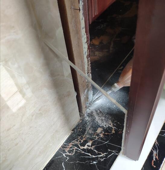 白蟻預(yù)防工程圖片/白蟻預(yù)防工程樣板圖 (3)