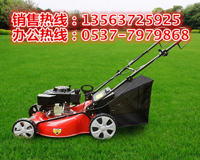 剪草機(jī)圖片/剪草機(jī)樣板圖 (3)