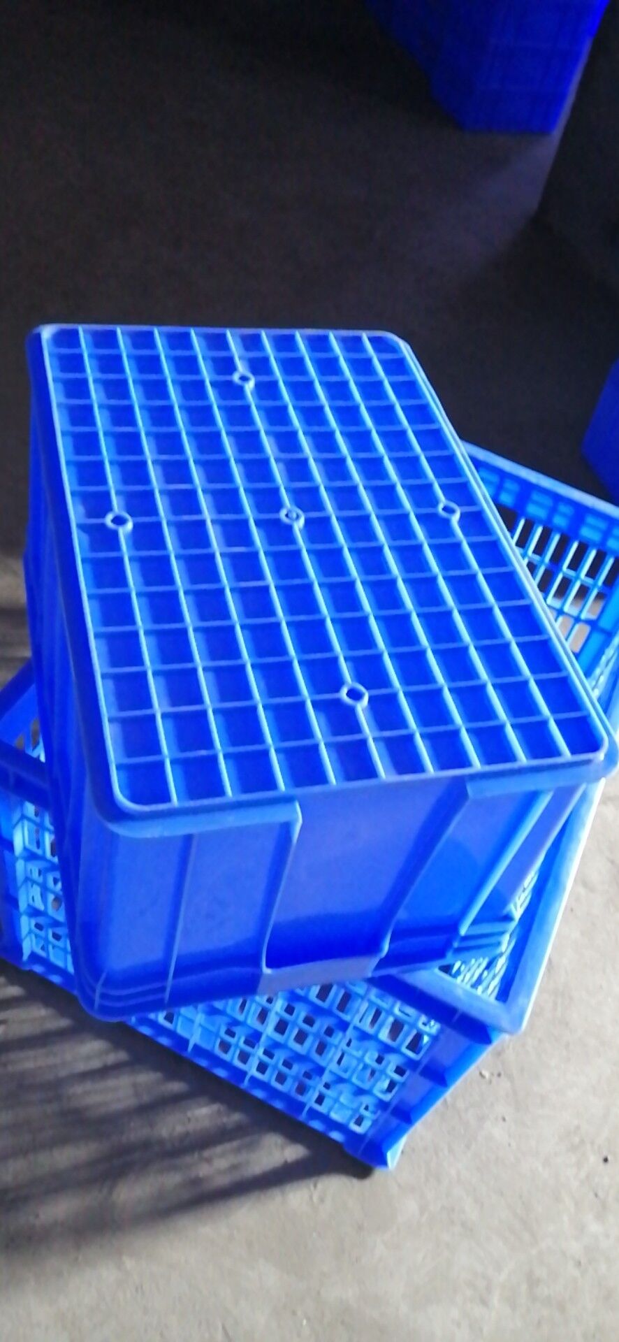 周轉(zhuǎn)箱圖片/周轉(zhuǎn)箱樣板圖 (2)