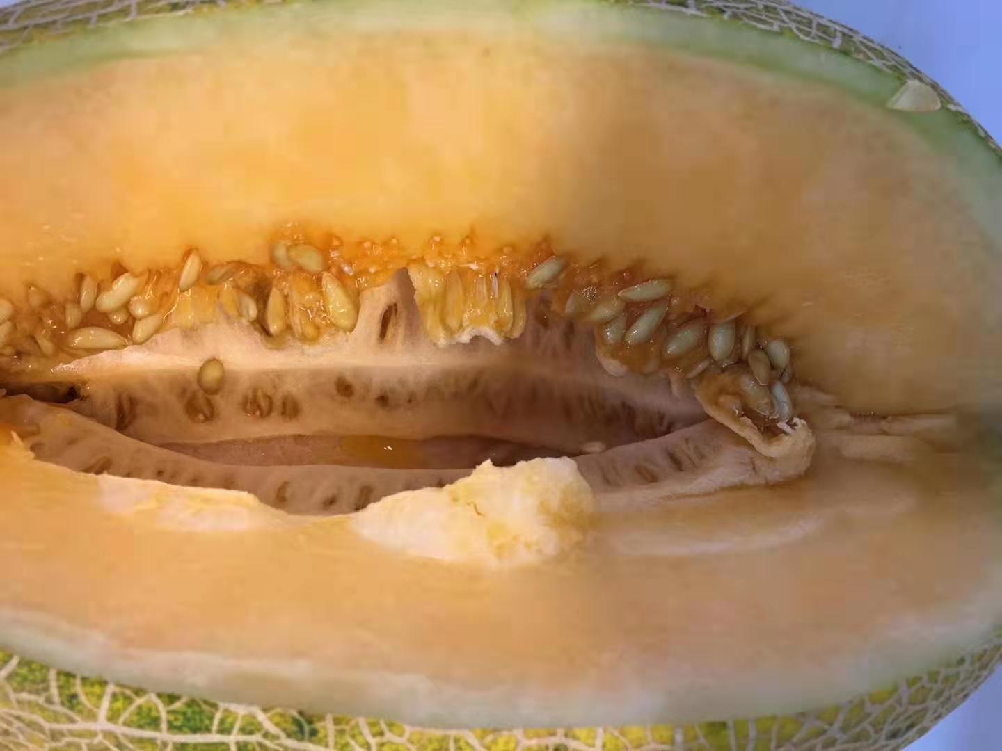 新疆伽師瓜/深圳伽師瓜一件代發(fā)圖片