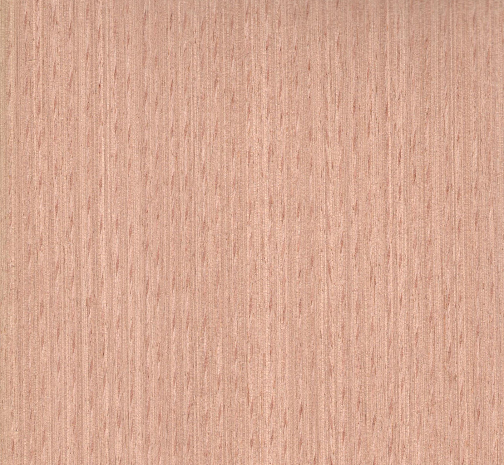 維尼VN29 紅櫸科技木皮圖片