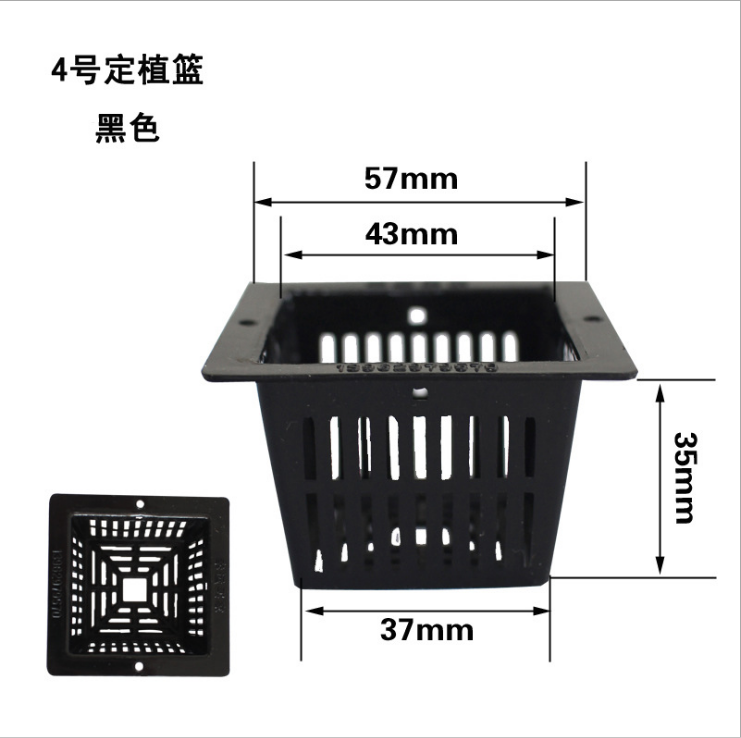 定植籃圖片/定植籃樣板圖 (2)