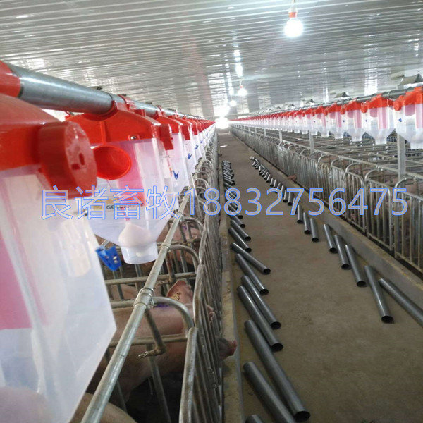 母豬自動喂料線 料線篩盤 料線轉(zhuǎn)角輪 塑飼料料自動喂料線廠家批發(fā)