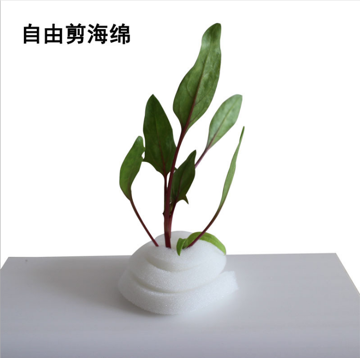 自由剪定植海綿圖片/自由剪定植海綿樣板圖 (1)