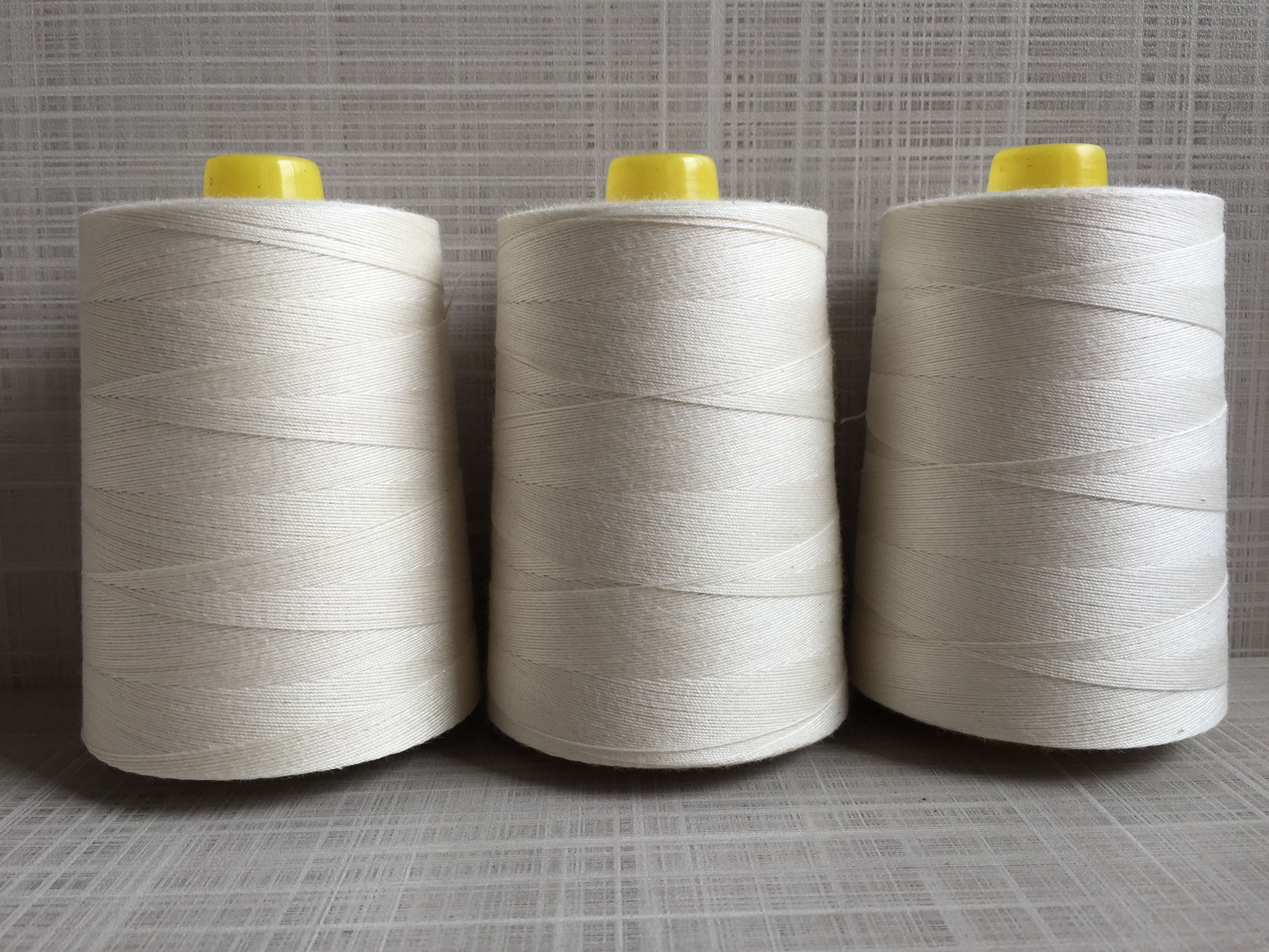 鎖線圖片/鎖線樣板圖 (4)