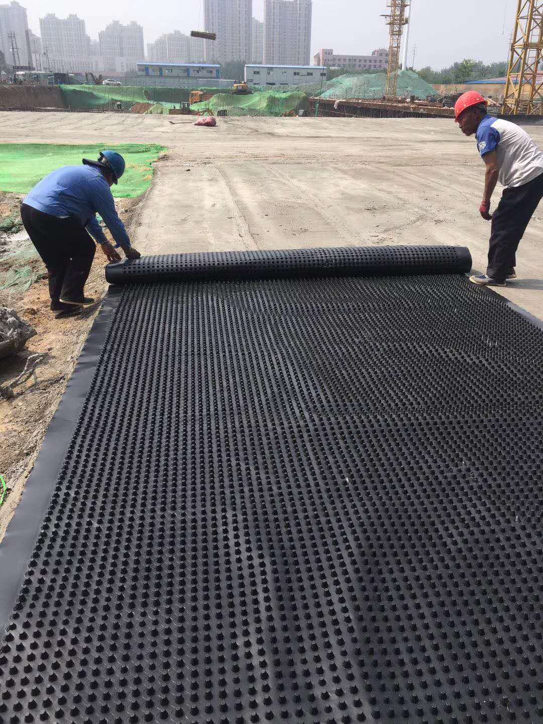 塑料排水板圖片/塑料排水板樣板圖 (2)