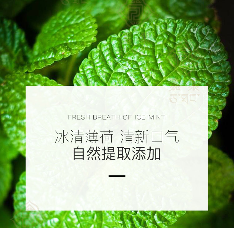 豐齦HP牙膏圖片/豐齦HP牙膏樣板圖 (2)