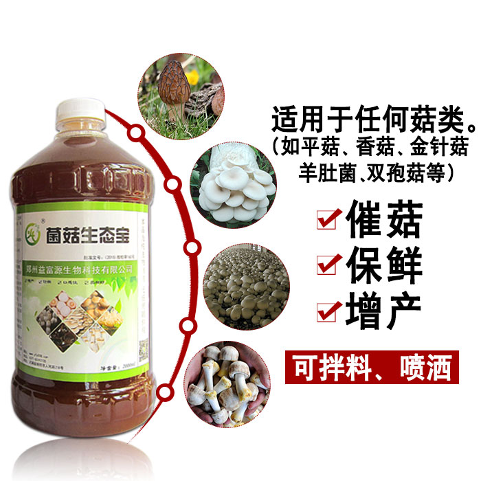 菌菇生態(tài)寶圖片/菌菇生態(tài)寶樣板圖 (3)