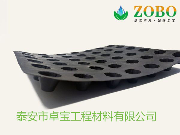 排水板圖片/排水板樣板圖 (3)