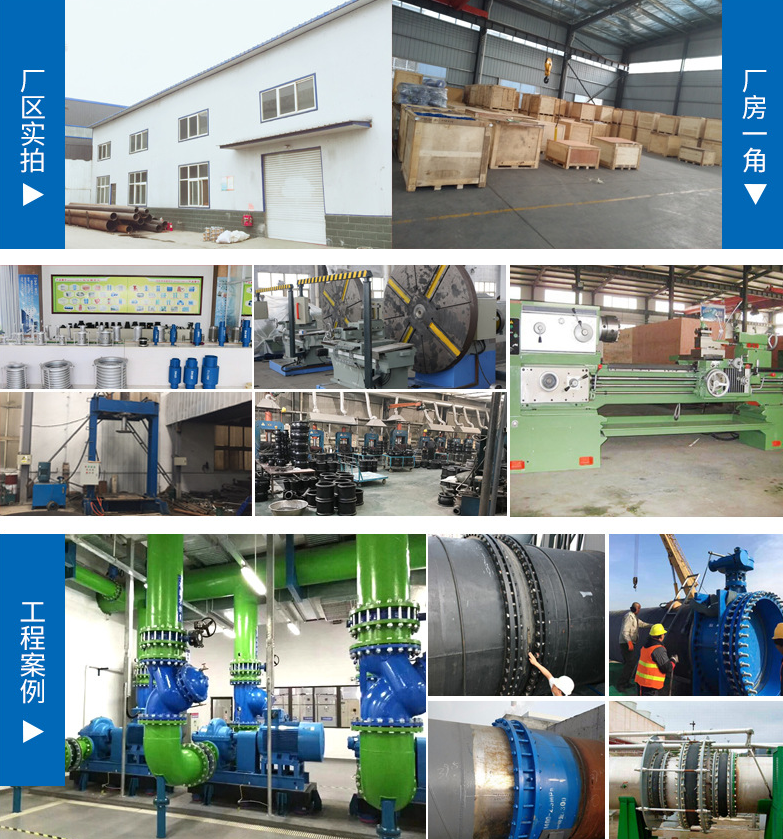 球形補(bǔ)償器圖片/球形補(bǔ)償器樣板圖 (3)