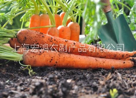 工廠生鮮配送企業(yè)——胡蘿卜