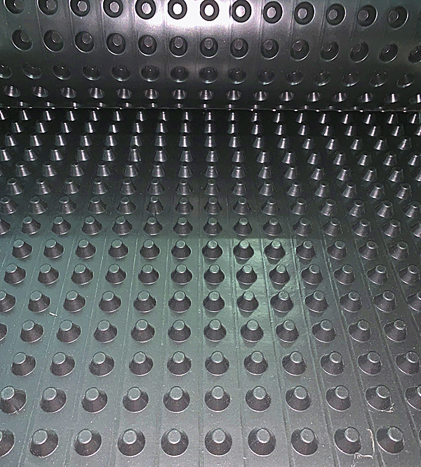 3公分排水板圖片