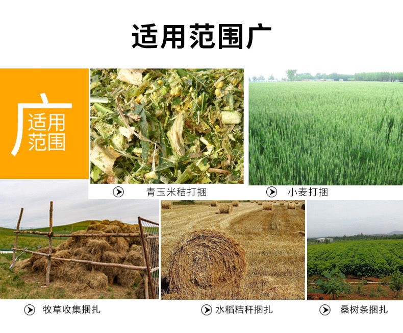 打捆包膜機(jī)圖片/打捆包膜機(jī)樣板圖 (4)