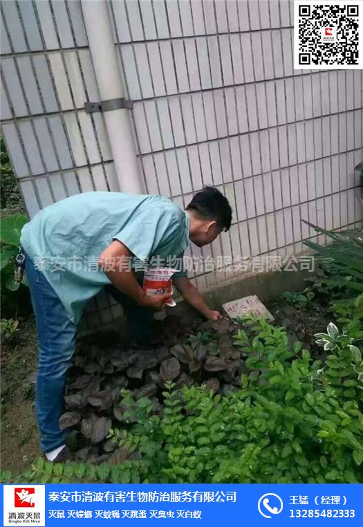 養(yǎng)豬場(chǎng)圖片/養(yǎng)豬場(chǎng)樣板圖 (3)