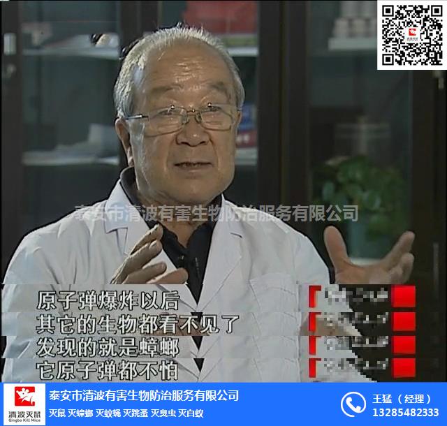 泰安滅蟑螂圖片/泰安滅蟑螂樣板圖 (3)