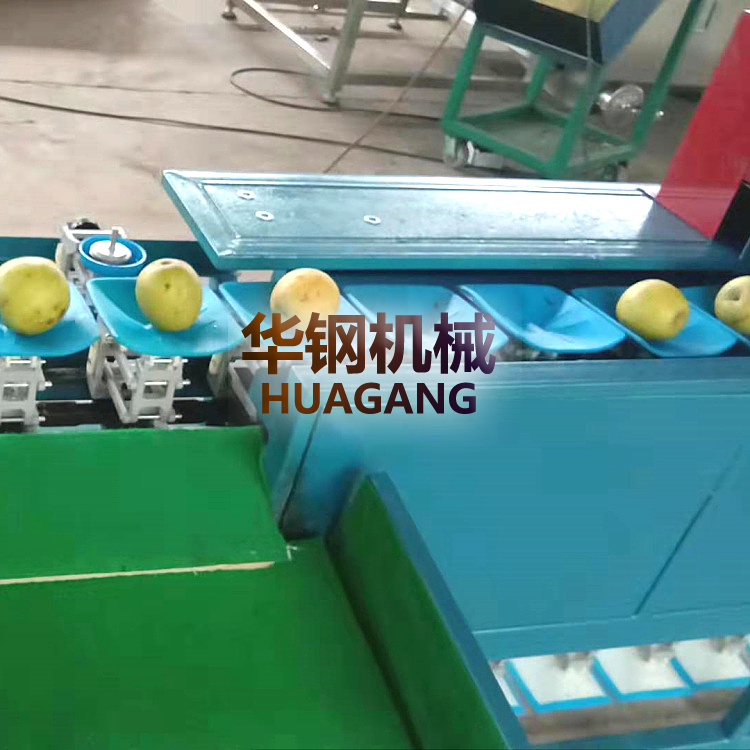 選果機(jī)圖片/選果機(jī)樣板圖 (3)