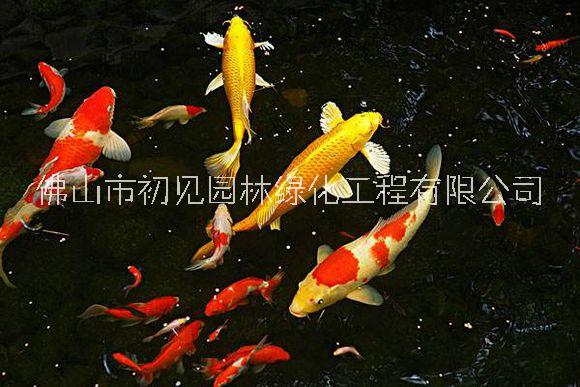 別墅庭院圖片/別墅庭院樣板圖 (3)