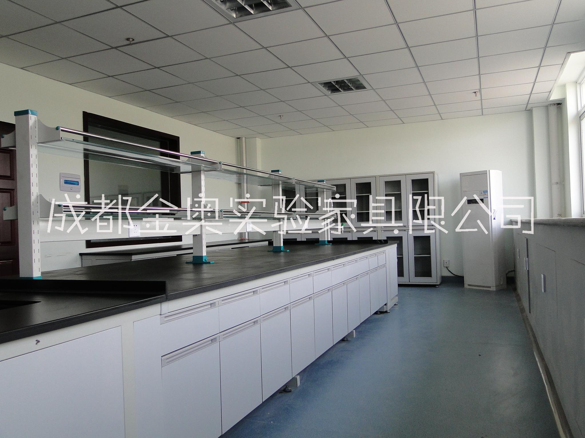 四川*通風(fēng)柜  *藥品柜   *器皿柜   *中央實(shí)驗(yàn)臺(tái) 成都實(shí)驗(yàn)室家具